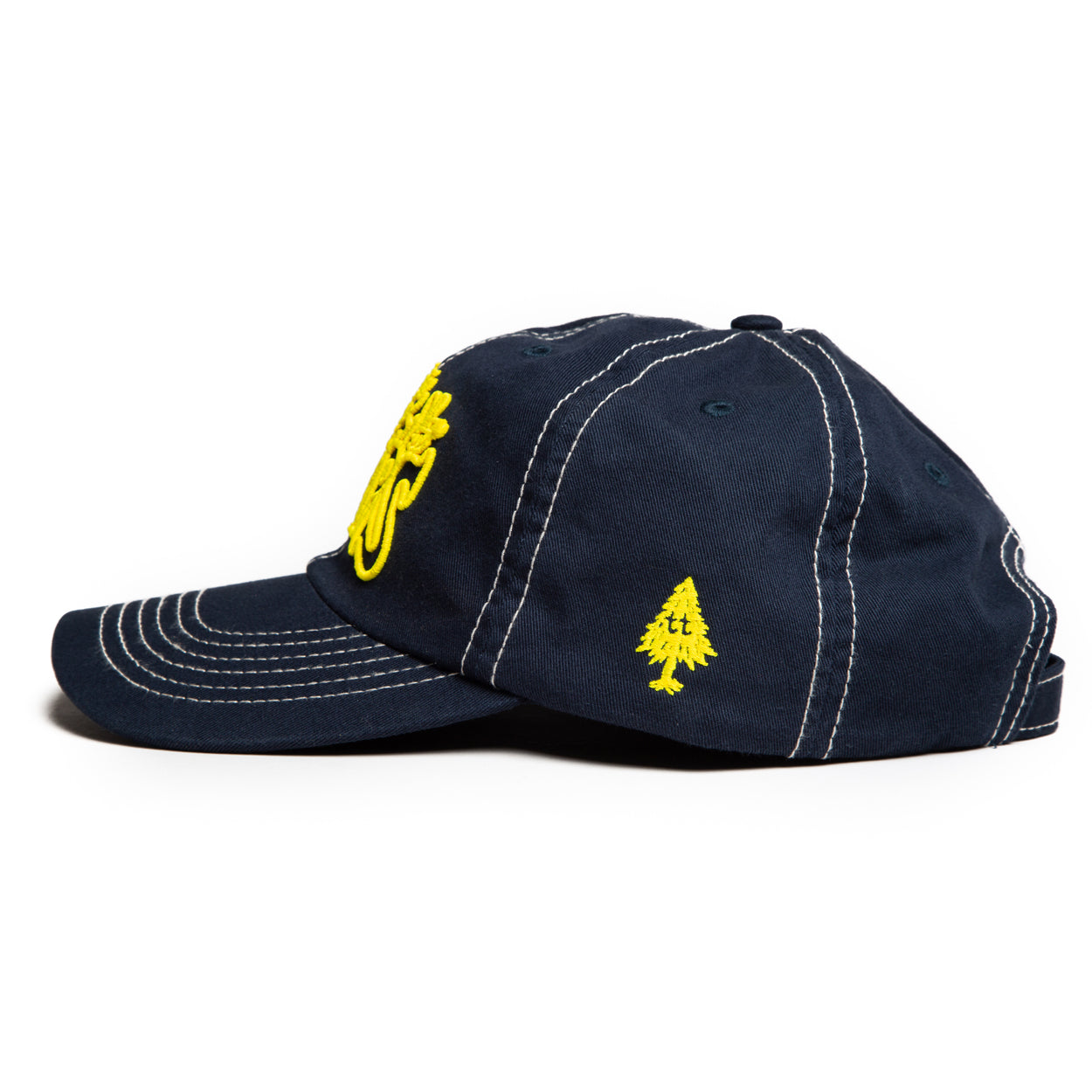 BRAIN CONTAINER™ CAP