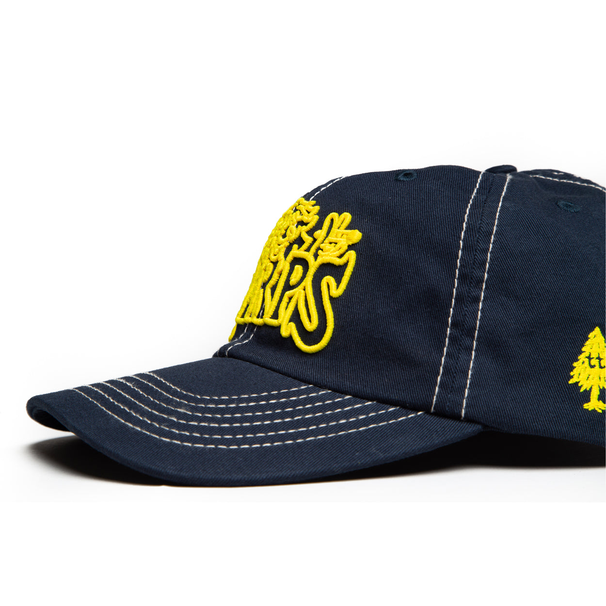 BRAIN CONTAINER™ CAP