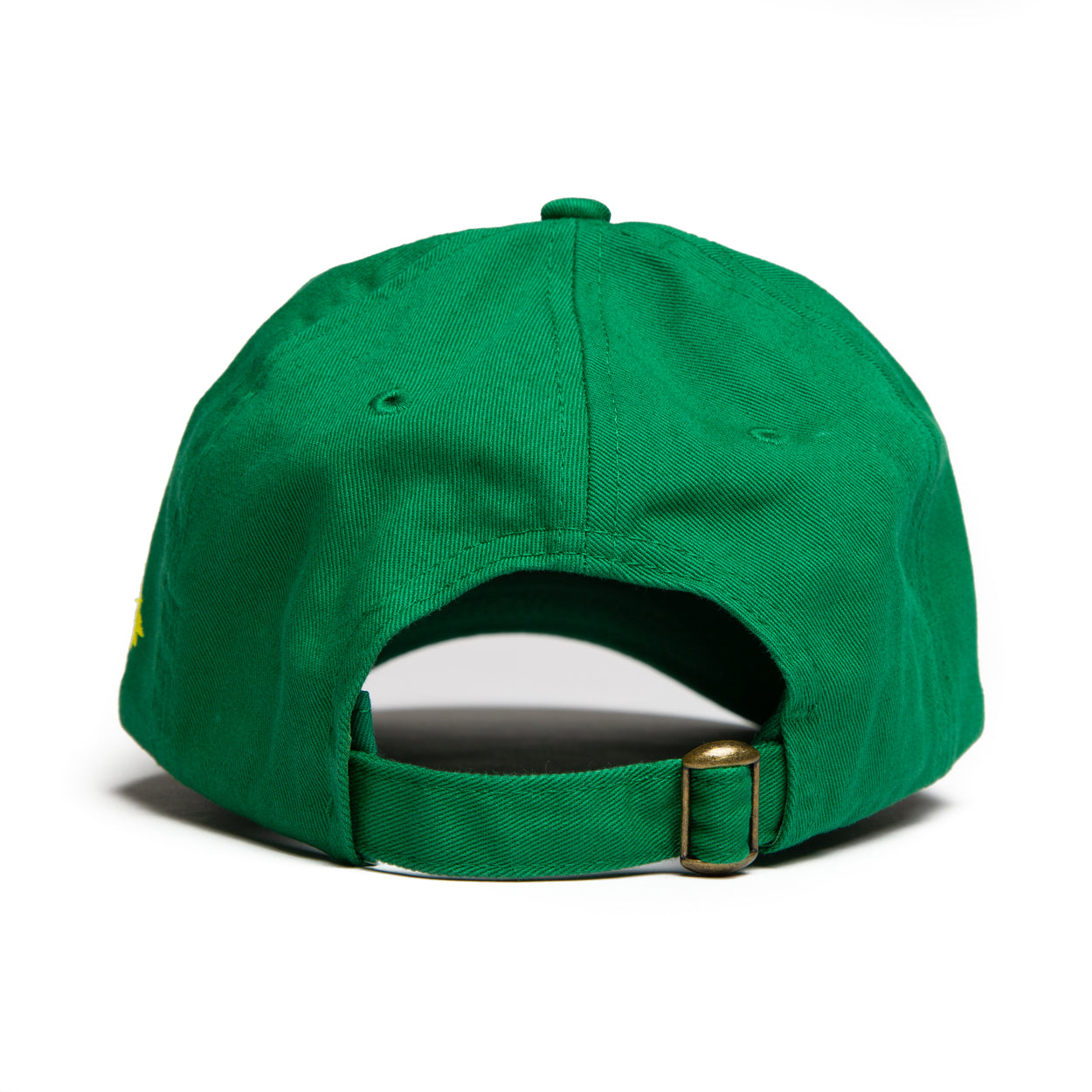 BRAIN CONTAINER™ CAP