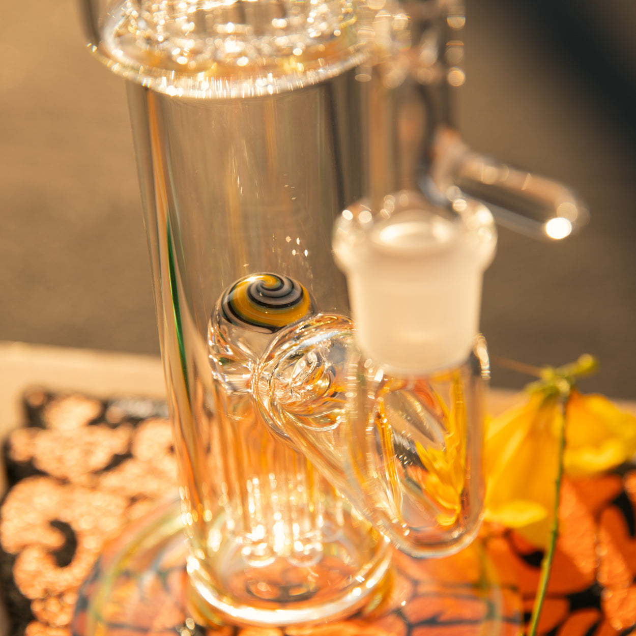 Talking Terps Toro 7-13 full size