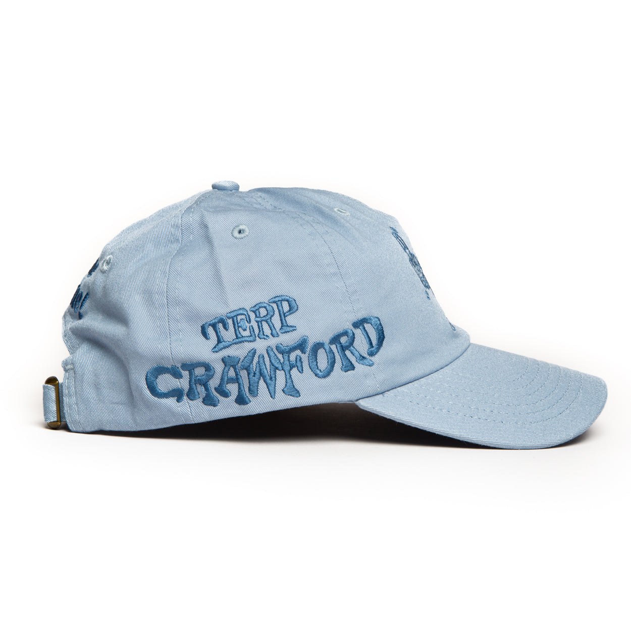 BRAIN CONTAINER™ V2 CAP