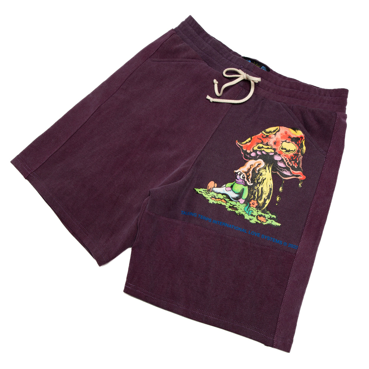 TERPS RECONSTRUCTED SHORTS