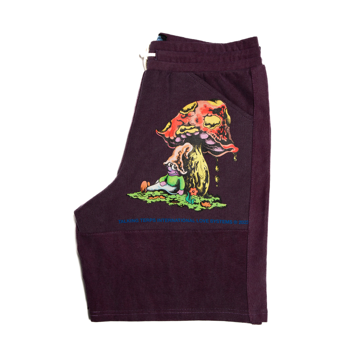 TERPS RECONSTRUCTED SHORTS