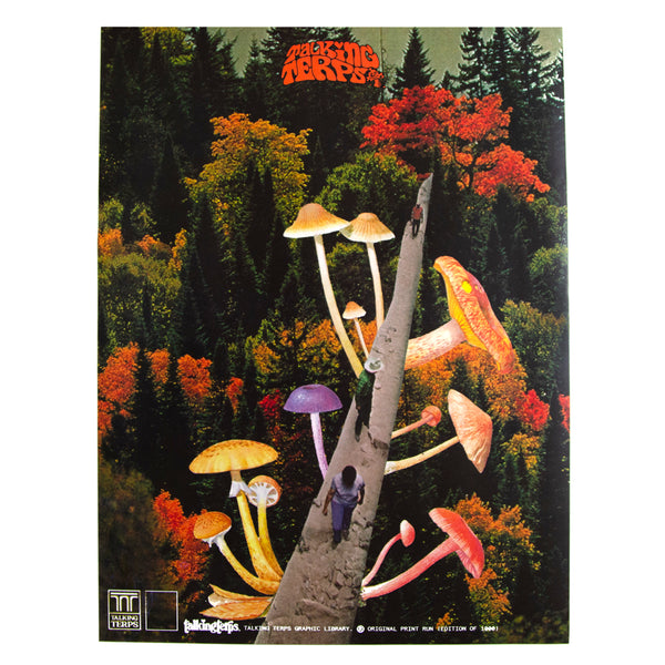 'Mushroom Bridge.' Print