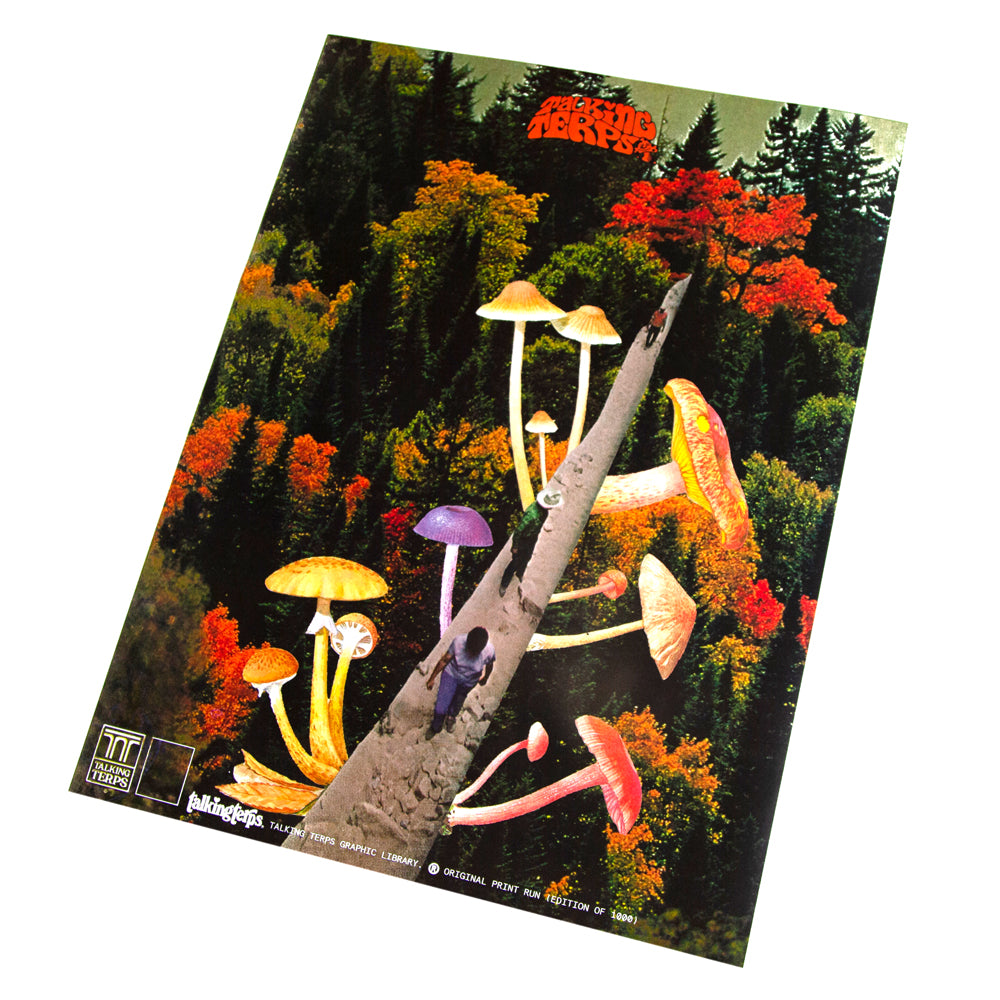 'Mushroom Bridge.' Print