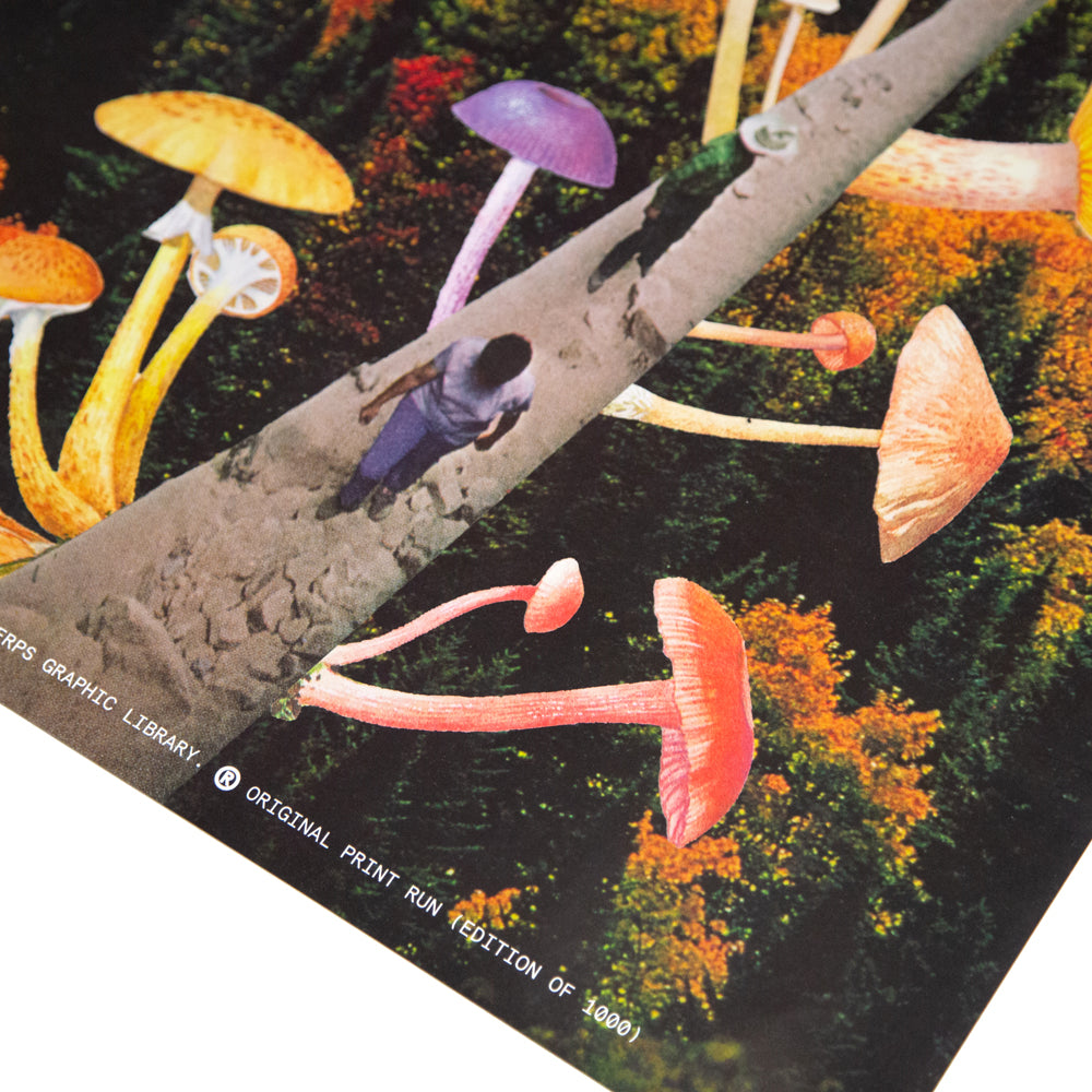 'Mushroom Bridge.' Print