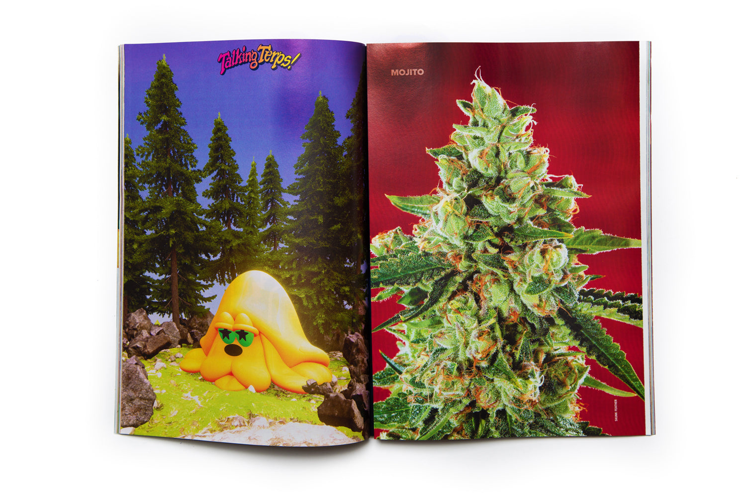 Talking Terps High Times Art Issue Collectors Edition