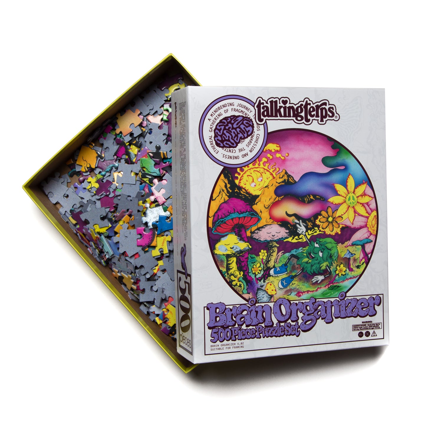 Brain Organizer 2.0 Puzzle