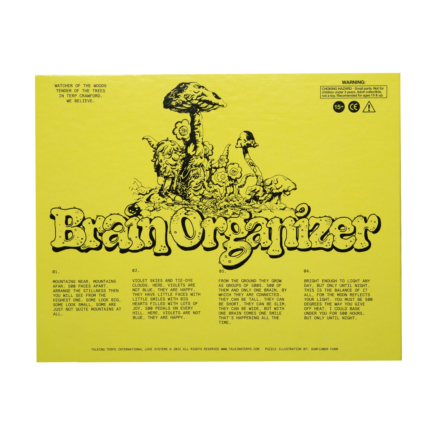 Brain Organizer 2.0 Puzzle