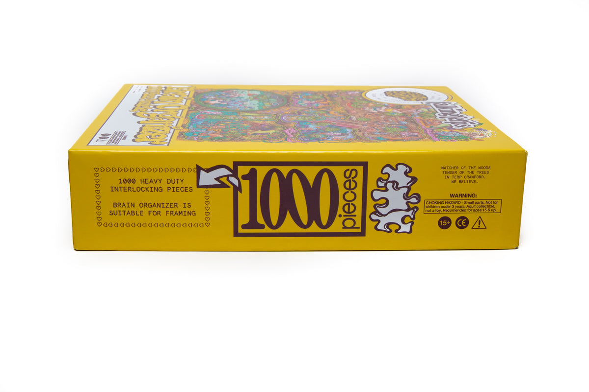 Brain Organizer Puzzle